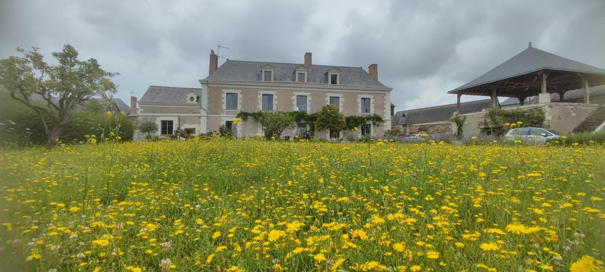 La Demeure De L'aubance Saint-Melaine-sur-Aubance